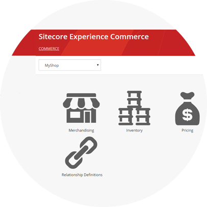 defining-features-of-sitecore-experience-commerce-banner