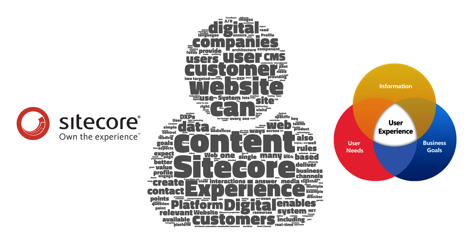 sitecore-how-to-elevate-user-experience-on-your-web-platform