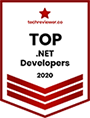 top-dot-net-developers